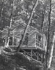 Catamount Cabin