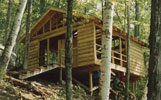 Catamount Cabin